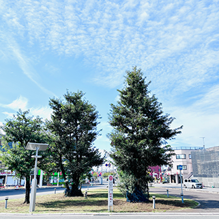 地域の方々と対話する様子